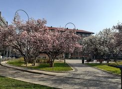 Area comune