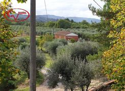 Terreno agricolo in vendita