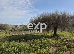 Rustico/Casale in vendita