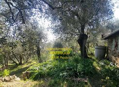 Terreno agricolo in vendita
