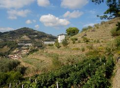 Terreno agricolo in vendita