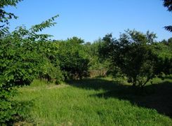 Terreno agricolo in vendita