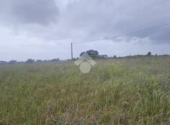 Terreno agricolo in vendita