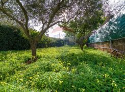Terreno agricolo in vendita