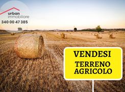 Terreno agricolo in vendita