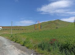 Terreno agricolo in vendita