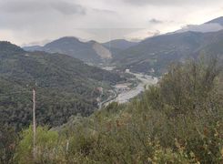 Terreno agricolo in vendita