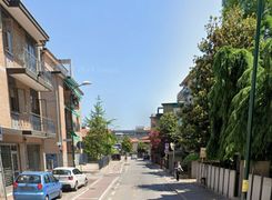 Vista