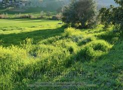 Terreno agricolo in vendita