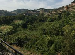 Vista