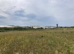 Terreno agricolo in vendita