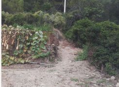 Terreno agricolo in vendita