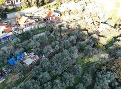 Terreno agricolo in vendita