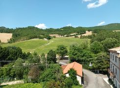 Vista
