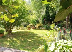 Giardino