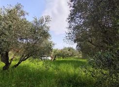 Terreno agricolo in vendita