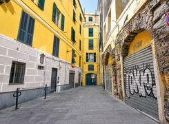 Vista