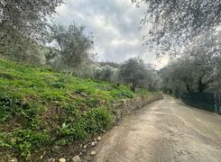 Terreno agricolo in vendita