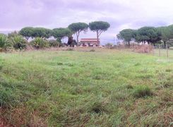 Terreno agricolo in vendita