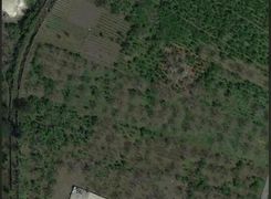 Terreno agricolo in vendita