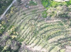 Terreno agricolo in vendita