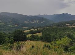 Vista