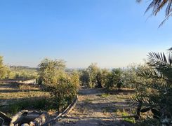 Terreno agricolo in vendita