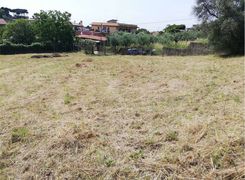 Terreno agricolo in vendita