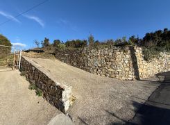 Terreno agricolo in vendita