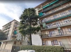 Trilocale in affitto