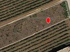 Terreno agricolo in vendita