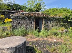 Terreno agricolo in vendita