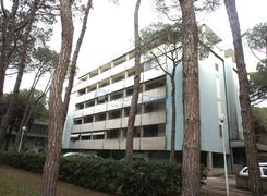 Vista