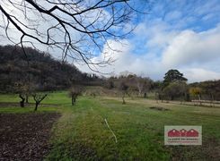 Terreno agricolo in vendita