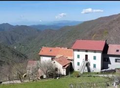 Vista