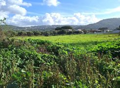 Terreno agricolo in vendita