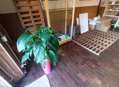 Terrazza