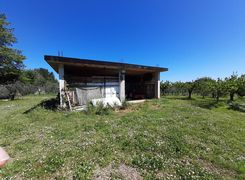 Terreno agricolo in vendita