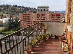 Trilocale in affitto