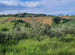 Terreno agricolo in vendita