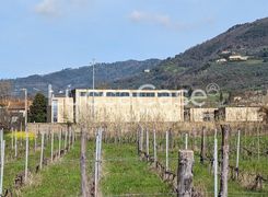 Capannone in vendita