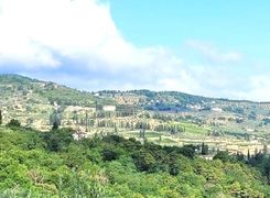 Vista