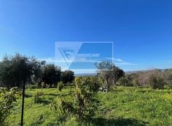 Terreno agricolo in vendita