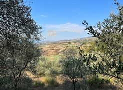 Terreno agricolo in vendita
