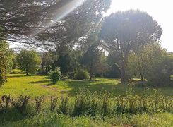 Terreno agricolo in vendita