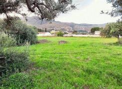 Terreno agricolo in vendita