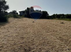 Terreno agricolo in vendita