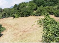 Terreno agricolo in vendita