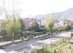Vista