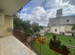 Vista